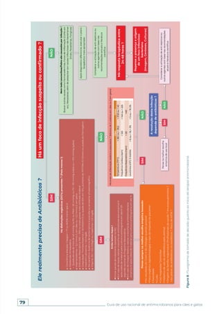 79 Guia de uso racional de antimicrobianos para cães e gatos
Figura
8.
Fluxograma
de
tomada
de
decisão
quanto
ao
início
da
terapia
antimicrobiana.
 