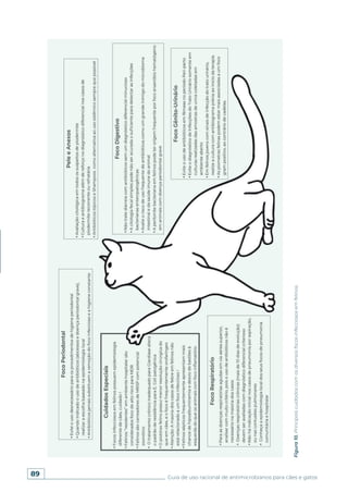 89 Guia de uso racional de antimicrobianos para cães e gatos
Figura
10.
Principais
cuidados
com
os
diversos
focos
infecciosos
em
felinos.
 