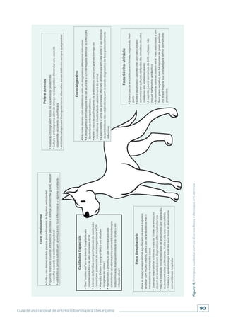 90
Guia de uso racional de antimicrobianos para cães e gatos
Figura
11.
Principais
cuidados
com
os
diversos
focos
infecciosos
em
caninos
 