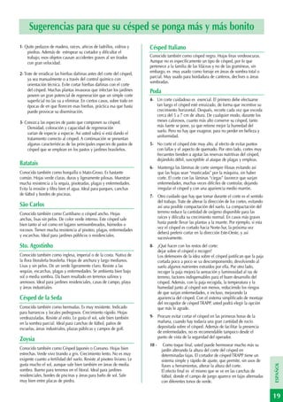 Sugerencias para que su césped se ponga más y más bonito
1- Quite pedazos de madera, raíces, añicos de ladrillos, vidrios y       Césped Italiano
    piedras. Además de estropear su cortador y dificultar el
    trabajo, esos objetos causan accidentes graves al ser tirados        Conocido también como césped negro. Hojas finas verdeoscuras.
    con gran velocidad.                                                  Aunque no es específicamente un tipo de césped, por lo que
                                                                         pertenece a la familia de las liláceas y no de las gramíneas, sin
2- Trate de erradicar las hierbas dañinas antes del corte del césped,    embargo, es muy usado como forraje en áreas de sombra total o
                                                                         parcial. Muy usado para bordadura de canteros, declives o áreas
     ya sea manualmente o a través del control químico con
                                                                         sombradas.
     orientación técnica. Evite cortar hierbas dañinas con el corte
     del césped. Muchas plantas invasoras que infectan los jardines      Poda
     poseen un gran potencial de regeneración que un simple corte
     superficial no las va a eliminar. En ciertos casos, sobre todo en   4- Un corte cuidadoso es esencial. El primero debe efectuarse
     épocas de en que florecen esas hierbas, práctica esa que hasta         tan luego el césped esté enraizado, de forma que incentive su
     puede provocar su diseminación.                                        crecimiento horizontal. Después, recorte cada vez que exceda
                                                                            cerca del 5 a 7 cm de altura. De cualquier modo, durante los
3- Conozca las especies de pasto que componen su césped.                    meses calorosos, cuanto más alto conserve su césped, tanto
    Densidad, coloración y capacidad de regeneración                        más fuerte se pone, ya que retiene mejor la humedad del
                                                                            suelo. Pero no hay que exagerar, para no perder en belleza y
    varían de especie a especie. Así usted sabrá si está dando el
                                                                            uniformidad.
    tratamiento correcto al césped. A continuación se presentan
    algunas características de las principales especies de pastos de     5- No corte el césped éste muy alto, al efecto de evitar puntos
    césped que se emplean en los pastos y jardines brasileños.              con fallas y el aspecto de quemado. Por otro lado, cortes muy
                                                                            frecuentes tienden a agotar las reservas nutritivas del césped,
                                                                            dejándolo débil, susceptible al ataque de plagas y empleas.
Batatais
                                                                         6- Mantenga las láminas de corte siempre filosas evitando así
Conocido también como horquilla o Mato-Groso. Es bastante                   que las hojas sean “masticadas” por la máquina, sin haber
común. Hojas verde claras, duras y ligeramente pilosas. Muestran            corte. El corte con las láminas “ciegas” favorece que surjan
mucha resistencia a la sequía, pisoteadas, plagas y enfermedades.           enfermedades, muchas veces difíciles de controlar, dejando
Evita la erosión y filtra bien el agua. Ideal para parques, canchas         irregular el césped y con una apariencia medio marrón.
de fútbol y bordes de piscinas.                                          7- Otro cuidado que hay que tomar durante el corte es el sentido
                                                                            del trabajo. Trate de alterar la dirección de los cortes, evitando
São Carlos                                                                  así una posible compactación del suelo. La compactación del
Conocido también como Curitibano o césped ancho. Hojas                      terreno reduce la cantidad de oxígeno disponible para las
anchas, lisas sin pelos. De color verde intenso. Este césped sale           raíces y dificulta su crecimiento normal. En casos más graves
bien tanto al sol como en lugares semisombreados, húmedos o                 hasta puede llevar las plantas a la muerte. Por ejemplo, si esta
                                                                            vez el césped es cortado hacia Norte-Sur, la próxima vez
rocosos. Tienen mucha resistencia al pisoteo, plagas, enfermedades
                                                                            deberá preferir cortar en la dirección Este-Oeste, y así
y escarchas. Ideal para jardines públicos o residenciales.
                                                                            sucesivamente.
Sto. Agostinho                                                           8- ¿Qué hacer con los restos del corte:
                                                                            dejar sobre el césped o recoger?
Conocido también como inglesa, imperial o de la costa. Nativa de            Los defensores de la idea sobre el césped justifican que la paja
la flora litoraleña brasileña. Hojas de anchura y largo medianos.           cortada poco a poco se va descomponiendo, devolviendo al
Lisas y sin pelos. De un verde ligeramente claro. Resiste a las             suelo algunos nutrientes extraídos por ella. Por otro lado,
sequías, escarchas, plagas y enfermedades. Se ambienta bien bajo            recoger la paja mejora la aereación y luminosidad al ras de
sol o media sombra. Da buen resultado en terrenos salinos y                 terreno, factores indispensables para el buen desarrollo del
arenosos. Ideal para jardines residenciales, casas de campo, playa          césped. Además, con la paja recogida, la temperatura y la
y áreas industriales.                                                       humedad junto al césped son menos, reduciendo los riesgos
                                                                            de que surjan enfermedades, e incluso, mejorando la
Césped de la Seda                                                           apariencia del césped. Con el sistema simplificado de montaje
                                                                            del recogedor de césped TRAPP, usted podrá elegir la opción
Conocido también como bermudas. Es muy resistente. Indicado                 que más le agrade.
para barrancos y locales pedregosos. Crecimiento rápido. Hojas
verdeazuladas. Resiste al estío. Le gusta el sol, sale bien también      9- Procure evitar cortar el césped en las primeras horas de la
en la sombra parcial. Ideal para canchas de fútbol, patios de               mañana, cuando hay todavía una gran cantidad de rocío
escuelas, áreas industriales, plazas públicas y campos de golf.             depositada sobre el césped. Además de facilitar la presencia
                                                                            de enfermedades, no es recomendable tampoco desde el
                                                                            punto de vista de la seguridad del operador.
Zoysia
                                                                         10 -    Como toque final, usted puede hermosear mucho más su
Conocido también como Césped Japonés o Coreano. Hojas bien                      jardín alterando la altura del corte del césped en
estrechas. Verde vivo tirando a gris. Crecimiento lento. No es muy              determinadas fajas. El cortador de césped TRAPP tiene un
exigente cuanto a fertilidad del suelo. Resiste al pisoteo liviano. Le          sistema simple y rápido de ajuste, que permite, sin usos de
gusta mucho el sol, aunque sale bien también en áreas de media
                                                                                                                                                 ESPAÑOL




                                                                                llaves u herramientas, alterar la altura del corte.
sombra. Bueno para terrenos en el litoral. Ideal para jardines                  El efecto final es el mismo que se ve en las canchas de
residenciales, bordes de piscinas y áreas para baño de sol. Sale                fútbol, donde el campo de juego aparece en fajas alternadas
muy bien entre placas de piedra.                                                con diferentes tonos de verde.


                                                                                                                                                 19
 