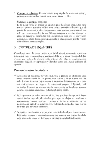2. Compra de colmenas: Es una manera muy rápida de iniciar un apiario,
pero significa tener dinero suficiente para invertir en ello.
Cuidados al comprar colmenas
Es la mejor forma de iniciar un apiario, pues las abejas están listas para
trabajar pero se necesita realizar una buena inversión debido a que el
precio de obtención es alto. Las colmenas para venta se componen de un
solo cuerpo o cámara de cría, con 10 marcos con su respectivo alimento y
crías, es necesario encargarlas con anticipación para que el proveedor
disponga de algún tiempo para prepararlas y el comprador pueda recibir
una colmena sana y completa.
3. CAPTURA DE ENJAMBRES
Cuando un grupo de abejas cuelga de un árbol, significa que están buscando
una nueva casa. Un enjambre se compone de la abeja reina y la mitad de las
obreras que había en la colmena recién enjambrada y algunos zánganos; estos
enjambres pueden ser capturados y llevados como una nueva colmena al
apiario.
Pasos para la captura de enjambres:
 Atrapando el enjambre: Hay dos maneras; la primera es utilizando una
bolsa caza enjambres, la que puede estar fabricada de la misma tela del
velo. La otra forma es dejando caer el enjambre directamente en la caja
que será la cámara de cría; para ello es necesario golpear el objeto del cual
se cuelga el mismo de manera que la mayor parte de las abejas queden
dentro. Si la reina ha entrado, todas las abejas lo harán.
 Si la operación se realiza durante el día, hay que dejar la caja en el lugar
donde estaba colgando el enjambre para que las abejas pecoreadoras y
exploradoras puedan regresar y unirse a la nueva colmena, no es
permitido en apicultura dejar las pecoreadoras abandonadas, pues esta es
la fuerza que dará vida a la misma.
 Se advierte que la reina al ser esquiva tratará de abandonar la nueva casa.
Para evitar la fuga, es necesario colocar una trampa que impida la salida
dela reina, esta puede ser fabricada a partir de un excluidor de reina.
 