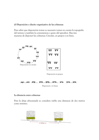 d) Disposición o diseño organizativo de las colmenas
Para saber que disposición tomar es necesario tomar en cuenta la topografía
del terreno y también la conveniencia o gusto del apicultor. Hay tres
maneras de disponer las colmenas: Circular, en grupos y en línea.
Disposición en círculo
Disposición en grupos
Disposición en líneas
La distancia entre colmenas
Para la abeja africanizada se considera viable una distancia de dos metros
como mínimo.
 