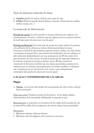 Tipos de alimentos artificiales de abejas
1. Líquidos: Jarabe de azúcar, miel de caña, jugo de caña
2. Sólidos: Dulce de panela Azúcar blanca o morena, Frutas frescas ( sandía,
melón, mango, etc...)
La temporada de Alimentación
Periodo de escasez: En este periodo se necesita alimentación urgente o de
mantenimiento. Se sirve a colmenas que por alguna razón no poseen reservas
de miel (una parte de azúcar por una de agua)
Periodo pre-floración: En el periodo de escaséz las reinas reducen la postura
y la población de la colmena se reduce drásticamente hasta la nueva
floración en donde las pecoreadoras ingresan néctar y polen, y la reina vuelve
a normalizar la postura Pero, para efectos de rendimiento de una colmena, se
debe alimentar artificialmente con una anticipación de 40 días antes de la
gran floración; de esta manera, la reina al sentir que ha ingresado alimento a
la colmena comienza la postura y término de los 40 días cuando ha
comenzado la floración; también hay una fuerza pecoreadora potente en la
colmena para un máximo aprovechamiento de la flora melífera. el alimento
que se proporciona en este periodo se le conoce como alimentación
estimulante (dos partes de azúcar por una de agua).
6. PLAGAS Y ENFERMEDADES DE LAS ABEJAS
Plagas
1. Varroa: es un ácaro del tamaño de una garrapata de color crema, marrón
hasta anaranjado.
Daño que causa: Parásita el cuerpo de las larvas y de las abejas adultas,
alimentándose de la hemolinfa, debilitando y matando a estas.
Reproducción: se reproduce en el interior de las celdas de los panales de cría
en especial las celdas de las zanganeras, las nuevas abejas nacen parasitadas.
Prevención:
• Mantener siempre colmenas fuertes.
• Mantener crías de zánganos solo cuando sea necesario.
 