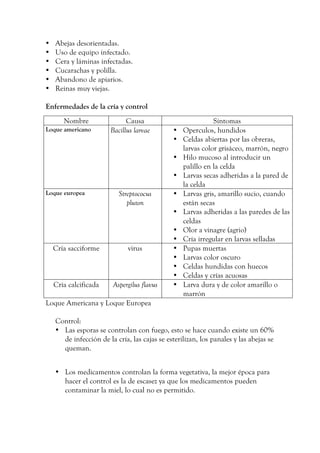 • Abejas desorientadas.
• Uso de equipo infectado.
• Cera y láminas infectadas.
• Cucarachas y polilla.
• Abandono de apiarios.
• Reinas muy viejas.
Enfermedades de la cría y control
Loque Americana y Loque Europea
Control:
• Las esporas se controlan con fuego, esto se hace cuando existe un 60%
de infección de la cría, las cajas se esterilizan, los panales y las abejas se
queman.
• Los medicamentos controlan la forma vegetativa, la mejor época para
hacer el control es la de escasez ya que los medicamentos pueden
contaminar la miel, lo cual no es permitido.
Nombre Causa Síntomas
Loque americano Bacillus larvae • Operculos, hundidos
• Celdas abiertas por las obreras,
larvas color grisáceo, marrón, negro
• Hilo mucoso al introducir un
palillo en la celda
• Larvas secas adheridas a la pared de
la celda
Loque europea Streptococus
pluton
• Larvas gris, amarillo sucio, cuando
están secas
• Larvas adheridas a las paredes de las
celdas
• Olor a vinagre (agrio)
• Cría irregular en larvas selladas
Cría sacciforme virus • Pupas muertas
• Larvas color oscuro
• Celdas hundidas con huecos
• Celdas y crías acuosas
Cría calcificada Aspergilus flavus • Larva dura y de color amarillo o
marrón
 