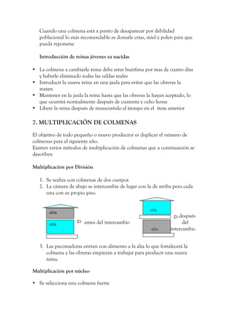 Cuando una colmena está a punto de desaparecer por debilidad
poblacional lo más recomendable es donarle crías, miel y polen para que
pueda reponerse
Introducción de reinas jóvenes ya nacidas
• La colmena a cambiarle reina debe estar huérfana por mas de cuatro días
y haberle eliminado todas las celdas reales
• Introducir la nueva reina en una jaula para evitar que las obreras la
maten
• Mantener en la jaula la reina hasta que las obreras la hayan aceptado, lo
que ocurrirá normalmente después de cuarenta y ocho horas
• Libere la reina después de transcurrido el tiempo en el ítem anterior
7. MULTIPLICACIÓN DE COLMENAS
El objetivo de todo pequeño o nuevo productor es duplicar el número de
colmenas para el siguiente año.
Existen varios métodos de multiplicación de colmenas que a continuación se
describen
Multiplicación por División
1. Se realiza con colmenas de dos cuerpos
2. La cámara de abajo se intercambia de lugar con la de arriba pero cada
una con su propio piso.
cría
después
antes del intercambio del
alza intercambio
3. Las pecoreadoras entran con alimento a la alza lo que fortalecerá la
colmena y las obreras empiezan a trabajar para producir una nueva
reina.
Multiplicación por núcleo
• Se selecciona una colmena fuerte
alza
cría
techo
piso
 