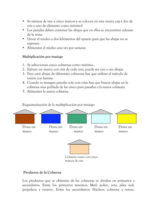 • Se extraen de tres a cinco marcos y se colocan en una nueva caja ( dos de
cría y uno de alimento como mínimo)
• Los panales deben contener las abejas que en ellos se encuentren además
de la reina
• Llevar el núcleo a dos kilómetros del apiario para que las abejas no se
regresen.
• Alimentar el núcleo una vez por semana
Multiplicación por trasiego
1. Se seleccionan cinco colmenas como mínimo..
2. Extraer un marco con cría de cada una, puede ser con o sin abejas.
3. Para unir abejas de diferentes colmenas hay que utilizar el método de
unión con harina.
4. Cuando se trasegan panales solo con crías hay que buscar abejas en la
colmena mas poblada de las cinco para pasarlas a la nueva colmena.
5. Alimentar la nueva colmena.
Esquematización de la multiplicación por trasiego
Dona un Dona un Dona un Dona un Dona un
marco marco marco marco marco
Colmena nueva con cinco
marcos de cría
Productos de la Colmena
Los productos que se obtienen de las colmenas se dividen en primarios y
secundarios. Entre los primarios tenemos: Miel, polen, cera, jalea real,
propóleos y veneno. Entre los secundarios: Núcleos, colmena y reinas.
 