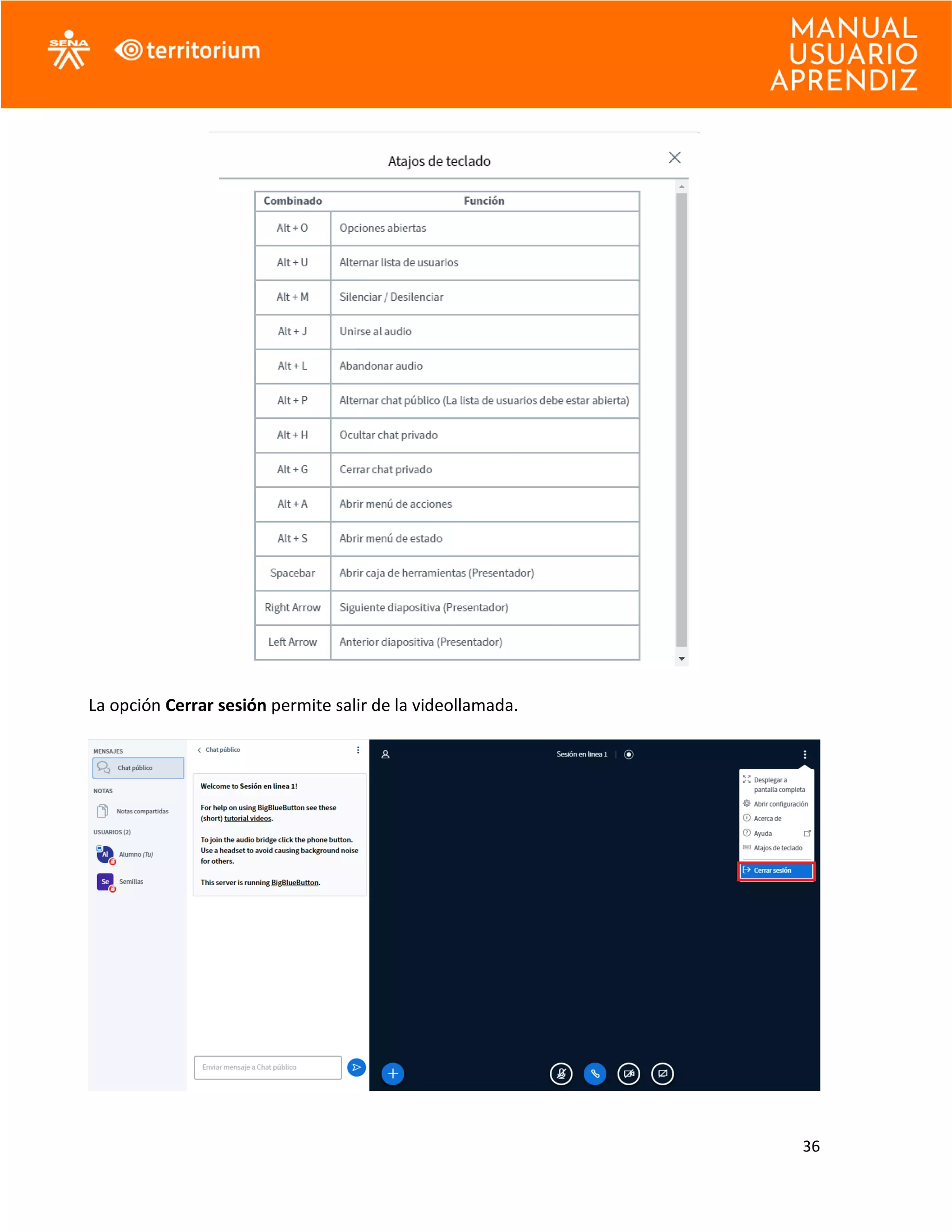 36
La opción Cerrar sesión permite salir de la videollamada.
 