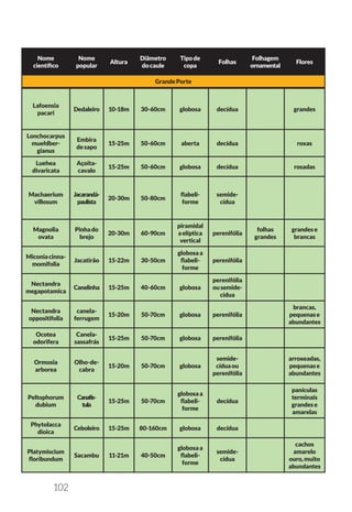 102
Nome
científico
Nome
popular
Altura
Diâmetro
docaule
Tipode
copa
Folhas
Folhagem
ornamental
Flores
GrandePorte
Lafoensia
pacari
Dedaleiro 10-18m 30-60cm globosa decídua grandes
Lonchocarpus
muehlber-
gianus
Embira
desapo
15-25m 50-60cm aberta decídua roxas
Luehea
divaricata
Açoita-
cavalo
15-25m 50-60cm globosa decídua rosadas
Machaerium
villosum
Jacarandá-
paulista
20-30m 50-80cm
flabeli-
forme
semide-
cídua
Magnolia
ovata
Pinhado
brejo
20-30m 60-90cm
piramidal
aelíptica
vertical
perenifólia
folhas
grandes
grandese
brancas
Miconiacinna-
momifolia
Jacatirão 15-22m 30-50cm
globosaa
flabeli-
forme
perenifólia
Nectandra
megapotamica
Canelinha 15-25m 40-60cm globosa
perenifólia
ousemide-
cídua
Nectandra
oppositifolia
canela-
ferrugem
15-20m 50-70cm globosa perenifólia
brancas,
pequenase
abundantes
Ocotea
odorifera
Canela-
sassafrás
15-25m 50-70cm globosa perenifólia
Ormosia
arborea
Olho-de-
cabra
15-20m 50-70cm globosa
semide-
cíduaou
perenifólia
arroxeadas,
pequenase
abundantes
Peltophorum
dubium
Canafís-
tula
15-25m 50-70cm
globosaa
flabeli-
forme
decídua
panículas
terminais
grandese
amarelas
Phytolacca
dioica
Ceboleiro 15-25m 80-160cm globosa decídua
Platymiscium
floribundum
Sacambu 11-21m 40-50cm
globosaa
flabeli-
forme
semide-
cídua
cachos
amarelo
ouro,muito
abundantes
 