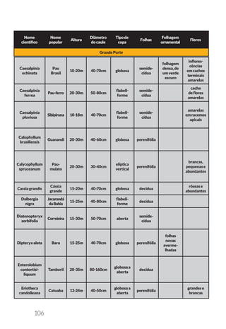 106
Nome
científico
Nome
popular
Altura
Diâmetro
docaule
Tipode
copa
Folhas
Folhagem
ornamental
Flores
GrandePorte
Caesalpinia
echinata
Pau
Brasil
10-20m 40-70cm globosa
semide-
cídua
folhagem
densa,de
umverde
escuro
inflores-
cências
emcachos
terminais
amarelas
Caesalpinia
ferrea
Pau-ferro 20-30m 50-80cm
flabeli-
forme
semide-
cídua
cacho
deflores
amarelas
Caesalpinia
pluviosa
Sibipiruna 10-18m 40-70cm
flabeli-
forme
semide-
cídua
amarelas
emracemos
apicais
Calophyllum
brasiliensis
Guanandi 20-30m 40-60cm globosa perenifólia
Calycophyllum
spruceanum
Pau-
mulato
20-30m 30-40cm
elíptica
vertical
perenifólia
brancas,
pequenase
abundantes
Cassiagrandis
Cássia
grande
15-20m 40-70cm globosa decídua
rósease
abundantes
Dalbergia
nigra
Jacarandá
daBahia
15-25m 40-80cm
flabeli-
forme
decídua
Diatenopteryx
sorbifolia
Correieira 15-30m 50-70cm aberta
semide-
cídua
Dipteryxalata Baru 15-25m 40-70cm globosa perenifólia
folhas
novas
averme-
lhadas
Enterolobium
contortisi-
liquum
Tamboril 20-35m 80-160cm
globosaa
aberta
decídua
Eriotheca
candolleana
Catuaba 12-24m 40-50cm
globosaa
aberta
perenifólia
grandese
brancas
 