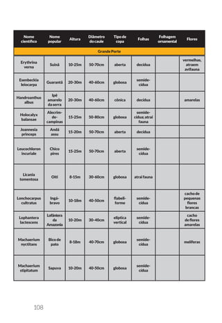 108
Nome
científico
Nome
popular
Altura
Diâmetro
docaule
Tipode
copa
Folhas
Folhagem
ornamental
Flores
GrandePorte
Erythrina
verna
Suinã 10-25m 50-70cm aberta decídua
vermelhas,
atraem
avifauna
Esenbeckia
leiocarpa
Guarantã 20-30m 40-60cm globosa
semide-
cídua
Handroanthus
albus
Ipê
amarelo
daserra
20-30m 40-60cm cônica decídua amarelas
Holocalyx
balansae
Alecrim-
de-
campinas
15-25m 50-80cm globosa
semide-
cídua;atrai
fauna
Joannesia
princeps
Andá
assu
15-20m 50-70cm aberta decídua
Leucochloron
incuriale
Chico
pires
15-25m 50-70cm aberta
semide-
cídua
Licania
tomentosa
Oiti 8-15m 30-60cm globosa atraifauna
Lonchocarpus
cultratus
Ingá-
bravo
10-18m 40-50cm
flabeli-
forme
semide-
cídua
cachode
pequenas
flores
brancas
Lophantera
lactescens
Lofântera
da
Amazonia
10-20m 30-40cm
elíptica
vertical
semide-
cídua
cacho
deflores
amarelas
Machaerium
nyctitans
Bicode
pato
8-18m 40-70cm globosa
semide-
cídua
melíferas
Machaerium
stipitatum
Sapuva 10-20m 40-50cm globosa
semide-
cídua
 
