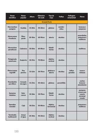 110
Nome
científico
Nome
popular
Altura
Diâmetro
docaule
Tipode
copa
Folhas
Folhagem
ornamental
Flores
GrandePorte
Myrcianthes
pungens
Guabiju 15-20m 40-60cm globosa
semide-
cídua
brancase
pequenas
Myrocarpus
frondosus
Óleo-
pardo
20-30m 60-90cm aberta decídua
amareladas,
pequenase
melíferas
Myroxylum
peruiferum
Cabreúva 10-20m 60-80cm
flabeli-
forme
decídua melíferas
Patagonula
americana
Guajuvira 10-25m 70-80cm
elíptica
vertical
decídua
Platycyamus
regnellii
Pau
pereira
15-22m 50-70cm
globosaa
aberta
decídua
folhas
grandes
roxase
vistosas
Poecilanthe
parviflora
Coração
denegro
15-25m 40-60cm globosa perenifólia
cachos
brancos
abundantes
Samanea
tubulosa
Sete-
cascas
10-18m 30-70cm
flabeli-
forme
decídua
pompom
cremecom
aparte
terminal
rosada
Spondias
mombin
Cajá 18-25m 50-80cm
elíptica
horizontal
decídua
pequenase
melíferas
Terminalia
kuhlmannii
Araçá
d´água
20-30m 40-60cm
elíptica
vertical
decídua
 