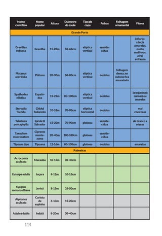 114
Nome
científico
Nome
popular
Altura
Diâmetro
docaule
Tipode
copa
Folhas
Folhagem
ornamental
Flores
GrandePorte
Grevillea
robusta
Grevilha 15-20m 50-60cm
elíptica
vertical
semide-
cídua
inflores-
cência
amarelas,
muito
melíferas,
atrai
avifauna
Platanus
acerifolia
Plátano 20-30m 60-80cm
elíptica
vertical
decídua
folhagem
densa,no
outonofica
amarelada
Spathodea
nilotica
Espató-
dea
15-25m 80-100cm
elíptica
vertical
decídua
laranjas(mais
comum)ou
amarelas
Sterculia
foetida
Chichá
fedorento
10-18m 70-90cm
elíptica
horizontal
decídua
mal
cheirosas
Tabebuia
pentaphylla
IpêdeEl
Salvador
15-20m 70-90cm globosa
semide-
cídua
debrancoa
róseas
Taxodium
mucronatum
Cipreste
monte-
zuma
20-40m 100-180cm globosa
semide-
cídua
Tipuanatipu Tipuana 12-16m 80-100cm globosa decídua amarelas
Palmeiras
Acrocomia
aculeata
Macaúba 10-15m 30-40cm
Euterpeedulis Juçara 8-12m 10-15cm
Syagrus
romanzoffiana
Jerivá 8-15m 35-50cm
Aiphanes
aculeata
Cariota
de
espinho
6-10m 15-20cm
Attaleadubia Indaiá 8-20m 30-40cm
 