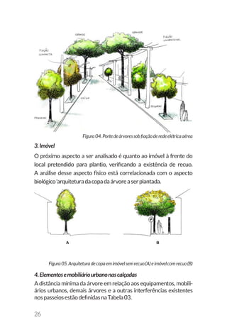 26
Figura04.Portedeárvoressobfiaçãoderedeelétricaaérea
3.Imóvel
O próximo aspecto a ser analisado é quanto ao imóvel à frente do
local pretendido para plantio, verificando a existência de recuo.
A análise desse aspecto físico está correlacionada com o aspecto
biológico‘arquiteturadacopadaárvoreaserplantada.
Figura05.Arquiteturadecopaemimóvelsemrecuo(A)eimóvelcomrecuo(B)
4.Elementosemobiliáriourbanonascalçadas
A distância mínima da árvore em relação aos equipamentos, mobili-
ários urbanos, demais árvores e a outras interferências existentes
nospasseiosestãodefinidasnaTabela03.
 