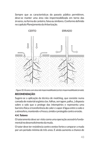 43
Sempre que as características do passeio público permitirem,
deve-se manter uma área não impermeabilizada em torno das
árvores, na forma de canteiro, faixa ou similares. Conforme definido
nocapítuloPlanejamentodaArborização.
CERTO ERRADO
Figura10.Árvorescomáreanãoimpermeabilizada(certo)eimpermeabilizada(errado).
RECOMENDAÇÃO:
Sugere-se a aplicação da técnica de mulching, que consiste numa
camada de material orgânico (ex. folhas, serragem, palha...) disposta
sobre o solo que o protege das intempéries e representa uma
barreira física à transferência de calor e vapor d'água entre o solo e
aatmosfera,mantendo-ofresco,úmidoeprotegidocontraerosão.
4.4. Tutores
O tutoramento deve ser visto como uma operação acessória funda-
mentalnodesenvolvimentodamuda.
O tutor deve ter resistência contra ventos fortes e amparar a muda
por um período mínimo de três anos. E ainda aumenta a chance de
 