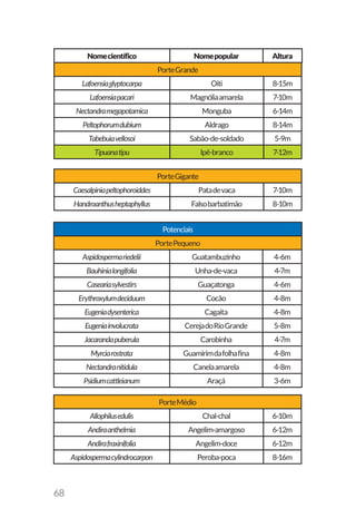 68
Lafoensiaglyptocarpa Oiti 8-15m
Lafoensiapacari Magnóliaamarela 7-10m
Nectandramegapotamica Monguba 6-14m
Peltophorumdubium Aldrago 8-14m
Tabebuiavellosoi Sabão-de-soldado 5-9m
Tipuanatipu Ipê-branco 7-12m
PorteGigante
Caesalpiniapeltophoroiddes Patadevaca 7-10m
Handroanthusheptaphyllus Falsobarbatimão 8-10m
PorteGrande
Nomecientífico Nomepopular Altura
Potenciais
PortePequeno
Aspidospermariedelii Guatambuzinho 4-6m
Bauhinialongifolia Unha-de-vaca 4-7m
Caseariasylvestirs Guaçatonga 4-6m
Erythroxylumdeciduum Cocão 4-8m
Eugeniadysenterica Cagaita 4-8m
Eugeniainvolucrata CerejadoRioGrande 5-8m
Jacarandapuberula Carobinha 4-7m
Myrciarostrata Guamirimdafolhafina 4-8m
Nectandranitidula Canelaamarela 4-8m
Psidiumcattleianum Araçá 3-6m
PorteMédio
Allophilusedulis Chal-chal 6-10m
Andiraanthelmia Angelim-amargoso 6-12m
Andirafraxinifolia Angelim-doce 6-12m
Aspidospermacylindrocarpon Peroba-poca 8-16m
 