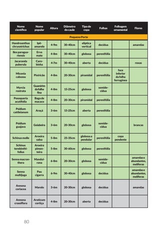 80
Nome
científico
Nome
popular
Altura
Diâmetro
docaule
Tipode
copa
Folhas
Folhagem
ornamental
Flores
PequenoPorte
Handroanthus
chrysotrichus
Ipê-
amarelo
4-9m 30-40cm
elíptica
vertical
decídua amarelas
Ilexparagua-
riensis
Erva
mate
4-8m 30-40cm globosa perenifólia
Jacaranda
puberula
Caro-
binha
4-7m 30-40cm aberta decídua roxas
Miconia
cabussu
Pixiricão 4-8m 20-30cm piramidal perenifólia
face
inferior
dafolha
ferrugínea
Myrcia
rostrata
Guamirim
dafolha
fina
4-8m 15-25cm globosa
semide-
cídua
Posoqueria
acutifolia
Bagade
macaco
4-8m 20-30cm piramidal perenifólia
Psidium
cattleianum
Araçá 3-6m 15-25cm aberta perenifólia
Psidium
guajava
Goiabeira 3-6m 20-30cm globosa
semide-
cídua
brancas
Schinusmolle
Aroeira
salsa
5-8m 25-35cm
globosaa
pendular
perenifólia
copa
pendente
Schinus
terebinthi-
folius
Aroeira
pimen-
teira
5-8m 30-60cm globosa perenifólia
Sennamacran-
thera
Mandui-
rana
6-8m 20-30cm globosa
semide-
cídua
amarelase
abundantes,
melíferas
Senna
multijuga
Pau
cigarra
6-9m 30-40cm globosa decídua
amarelase
abundantes,
melíferas
Annona
coriacea
Marolo 3-6m 20-30cm globosa decídua amarelas
Annona
crassiflora
Araticum
cortiça
4-8m 20-30cm aberta decídua
 
