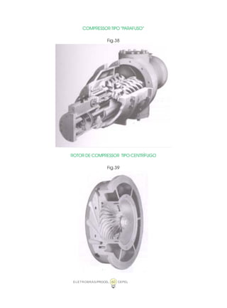 ELETROBRÁS/PROCEL CEPEL60
COMPRESSOR TIPO “PARAFUSO”
Fig.38
ROTOR DE COMPRESSOR TIPO CENTRÍFUGO
Fig.39
 