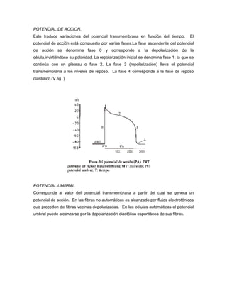 POTENCIAL DE ACCION.
Este traduce variaciones del potencial transmembrana en función del tiempo.            El
potencial de acción está compuesto por varias fases.La fase ascendente del potencial
de acción se denomina fase 0 y corresponde a la depolarización de la
célula,invirtiéndose su polaridad. La repolarización inicial se denomina fase 1, la que se
continúa con un plateau o fase 2. La fase 3 (repolarización) lleva el potencial
transmembrana a los niveles de reposo. La fase 4 corresponde a la fase de reposo
diastólico.(V.fig )




POTENCIAL UMBRAL.
Corresponde al valor del potencial transmembrana a partir del cual se genera un
potencial de acción. En las fibras no automáticas es alcanzado por flujos electrotónicos
que proceden de fibras vecinas depolarizadas. En las células automáticas el potencial
umbral puede alcanzarse por la depolarización diastólica espontánea de sus fibras.
 