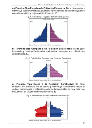 29
Añez E., Dávila F., Gómez W., Hernández T., Reyes I. & Talavera J.
Fig. 4. Pirámide Tipo Pagoda o de Población Expansiva.
Fig. 5. Pirámide Tipo Campana o de Población Estacionaria
Fig. 6. Pirámide Tipo Hucha o de Población Constrictiva.
Fuente: Material instruccional de los investigadores.
Fuente: Material instruccional de los investigadores.
Fuente: Material instruccional de los investigadores.
a.- Pirámide Tipo Pagoda o de Población Expansiva: Tiene base ancha y
disminuye rápidamente hacia el vértice; corresponde a poblaciones jóvenes
con alta natalidad y bajo nivel de desarrollo. Ej:
b.- Pirámide Tipo Campana o de Población Estacionaria: es de base
intermedia y disminución lenta hacia el vértice; corresponde a poblaciones
estacionarias. Ej.:
c.- Pirámide Tipo Hucha o de Población Constrictiva: De base
estrecha, se ensancha en el centro y disminuye suavemente hacia el
vértice; corresponde a poblaciones donde la fecundidad es muy baja y se
encuentran en proceso de envejecimiento. Ej
 