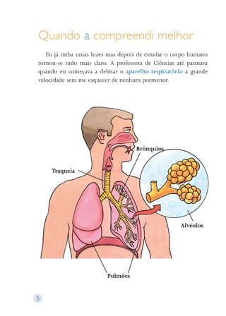 Quando a compreendi melhor 
Eu já tinha umas luzes mas depois de estudar o corpo humano 
tornou-se tudo mais claro. A professora de Ciências até pasmava 
quando eu começava a debitar o aparelho respiratório a grande 
velocidade sem me esquecer de nenhum pormenor. 
5 
Traqueia 
Brônquios 
Alvéolos 
Pulmões 
 