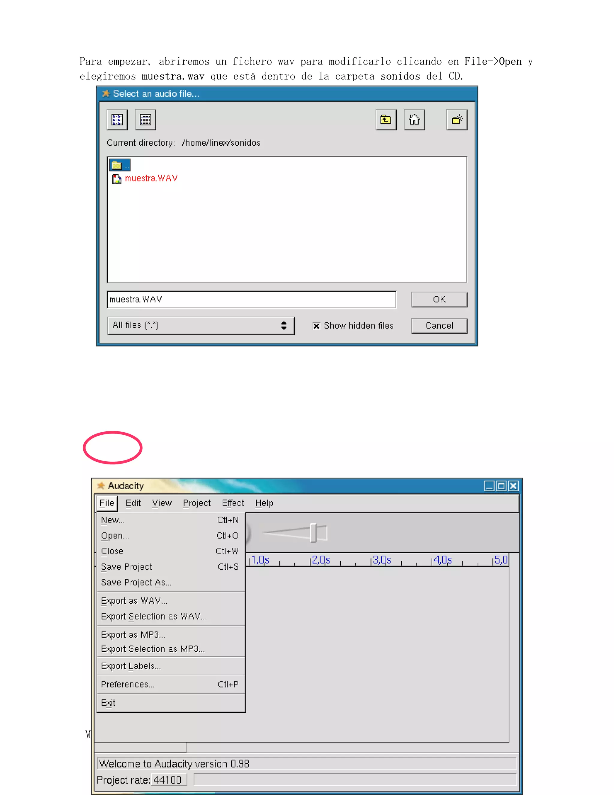 Para empezar, abriremos un fichero wav para modificarlo clicando en File->Open y
elegiremos muestra.wav que está dentro de la carpeta sonidos del CD.




MúsicaLinEx.................................ÍÍNDICE .....................
 