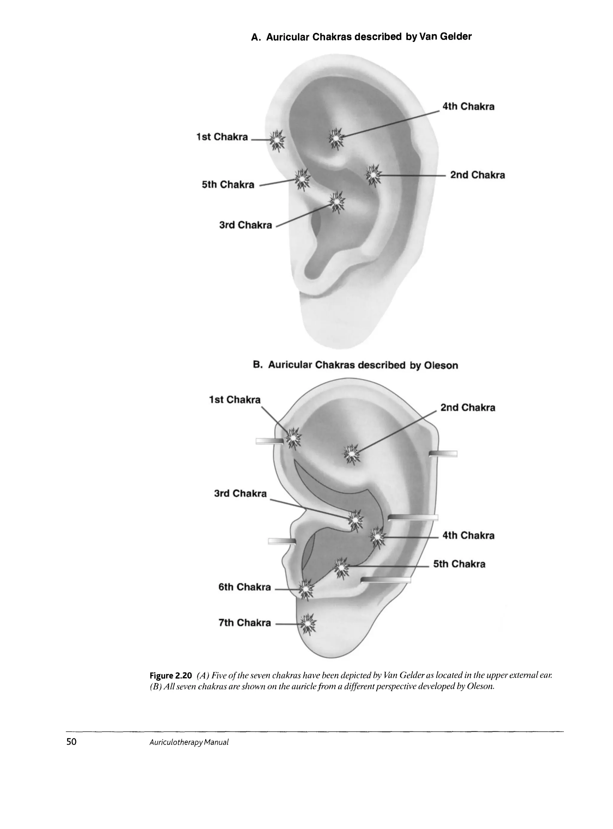 Manual auriculotherapy chinese and western systems of ear | PDF