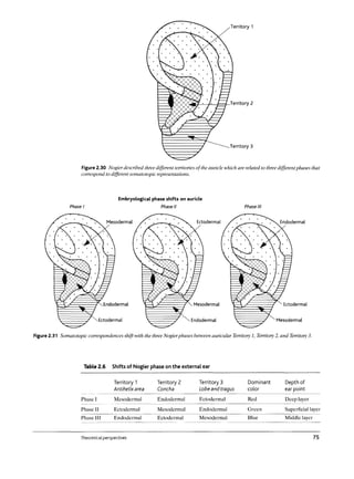 Manual auriculotherapy chinese and western systems of ear | PDF