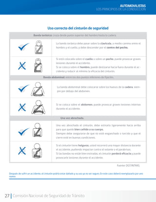 27 Comisión Nacional de Seguridad de Tránsito
Uso correcto del cinturón de seguridad
Banda toráxica: cruza desde punto superior del hombro hasta la cadera.
La banda toráxica debe pasar sobre la clavícula, a medio camino entre el
hombro y el cuello, y debe descender por el centro del pecho.
Si está colocada sobre el cuello o sobre un pecho, puede provocar graves
lesiones durante el accidente.
Si se coloca sobre el hombro, puede deslizarse hacia fuera durante el ac-
cidente y reducir al mínimo la eficacia del cinturón.
Banda abdominal: entre los dos puntos inferiores de fijación.
La banda abdominal debe colocarse sobre los huesos de la cadera, siem-
pre por debajo del abdomen.
Si se coloca sobre el abdomen, puede provocar graves lesiones internas
durante el accidente.
Una vez abrochado.
Una vez abrochado el cinturón, debe estirarlo ligeramente hacia arriba
para que quede bien ceñido a su cuerpo.
Siempre debe asegurarse de que no esté enganchado o torcido y que el
cierre esté en buenas condiciones.
Si el cinturón tiene holguras, usted recorrerá una mayor distancia durante
el accidente, pudiendo impactar contra el volante o el parabrisas.
Si las bandas no están bien estiradas, el cinturón perderá eficacia y puede
provocarle lesiones durante el accidente.
Fuente: DGT/INTRAS.
Después de sufrir un accidente, el cinturón podría estar dañado y su uso ya no ser seguro. En este caso deberá reemplazarlo por uno
nuevo.
AUTOMOVILISTAS
LOS PRINCIPIOS DE LA CONDUCCIÓN
 