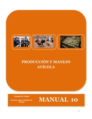 1
PRODUCCIÓN Y MANEJO
AVÍCOLA
Fundación Origen
Escuela Agroecológica de
Pirque
MANUAL 10
 