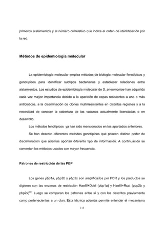 113
primeros aislamientos y el número correlativo que indica el orden de identificación por
la red.
Métodos de epidemiología molecular
La epidemiología molecular emplea métodos de biología molecular fenotípicos y
genotípicos para identificar subtipos bacterianos y establecer relaciones entre
aislamientos. Los estudios de epidemiología molecular de S. pneumoniae han adquirido
cada vez mayor importancia debido a la aparición de cepas resistentes a uno o más
antibióticos, a la diseminación de clones multirresistentes en distintas regiones y a la
necesidad de conocer la cobertura de las vacunas actualmente licenciadas o en
desarrollo.
Los métodos fenotípicos ya han sido mencionados en los apartados anteriores.
Se han descrito diferentes métodos genotípicos que poseen distinto poder de
discriminación que además aportan diferente tipo de información. A continuación se
comentan los métodos usados con mayor frecuencia.
Patrones de restricción de las PBP
Los genes pbp1a, pbp2b y pbp2x son amplificados por PCR y los productos se
digieren con las enzimas de restricción HaeIII+DdeI (pbp1a) y HaeIII+RsaI (pbp2b y
pbp2x)48
. Luego se comparan los patrones entre sí y con los descritos previamente
como pertenecientes a un clon. Esta técnica además permite entender el mecanismo
 