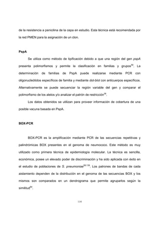 114
de la resistencia a penicilina de la cepa en estudio. Esta técnica está recomendada por
la red PMEN para la asignación de un clon.
PspA
Se utiliza como método de tipificación debido a que una región del gen pspA
presenta polimorfismos y permite la clasificación en familias y grupos59
. La
determinación de familias de PspA puede realizarse mediante PCR con
oligonucleótidos específicos de familia y mediante dot-blot con anticuerpos específicos.
Alternativamente se puede secuenciar la región variable del gen y comparar el
polimorfismo de los alelos y/o analizar el patrón de restricción36
.
Los datos obtenidos se utilizan para proveer información de cobertura de una
posible vacuna basada en PspA.
BOX-PCR
BOX-PCR es la amplificación mediante PCR de las secuencias repetitivas y
palindrómicas BOX presentes en el genoma de neumococo. Este método es muy
utilizado como primera técnica de epidemiología molecular. La técnica es sencilla,
económica, posee un elevado poder de discriminación y ha sido aplicada con éxito en
el estudio de poblaciones de S. pneumoniae58,139
. Los patrones de bandas de cada
aislamiento dependen de la distribución en el genoma de las secuencias BOX y los
mismos son comparados en un dendrograma que permite agruparlos según la
similitud84
.
 
