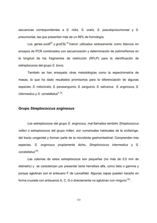 143
secuencias correspondientes a S. mitis, S. oralis, S. pseudopneumoniae y S.
pneumoniae, las que presentan más de un 99% de homología.
Los genes sodA87
y groESL19
fueron utilizados exitosamente como blancos en
ensayos de PCR combinados con secuenciación y determinación de polimorfismos en
la longitud de los fragmentos de restricción (RFLP) para la identificación de
estreptococos del grupo S. bovis.
También se han ensayado otras metodologías como la espectrometría de
masas, la que ha dado resultados promisorios para la diferenciación de algunas
especies: S. mitis/oralis, S. parasanguinis, S. sanguinis, S. salivarius, S. anginosus, S.
intermedius y S. constellatus4, 33
.
Grupo Streptococcus anginosus
Los estreptococos del grupo S. anginosus, mal llamados también Streptococcus
milleri o estreptococos del grupo milleri, son comensales habituales de la orofaringe,
del tracto urogenital y forman parte de la microbiota gastrointestinal. Comprenden tres
especies, S. anginosus propiamente dicho, Streptococcus intermedius y S.
constellatus105
.
Las colonias de estos estreptococos son pequeñas (no más de 0,5 mm de
diámetro) y se caracterizan por presentar tanto hemólisis alfa, como beta o gamma y
porque aglutinan con el antisuero F de Lancefield. Algunas cepas pueden hacerlo en
forma cruzada con antisueros A, C, G o directamente no aglutinan con ninguno120
.
 