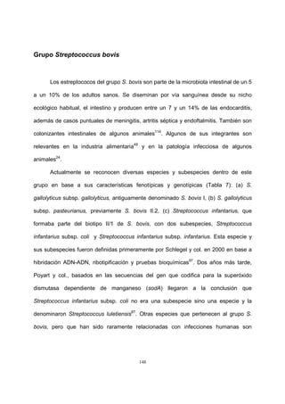 148
Grupo Streptococcus bovis
Los estreptococos del grupo S. bovis son parte de la microbiota intestinal de un 5
a un 10% de los adultos sanos. Se diseminan por vía sanguínea desde su nicho
ecológico habitual, el intestino y producen entre un 7 y un 14% de las endocarditis,
además de casos puntuales de meningitis, artritis séptica y endoftalmitis. También son
colonizantes intestinales de algunos animales114
. Algunos de sus integrantes son
relevantes en la industria alimentaria49
y en la patología infecciosa de algunos
animales24
.
Actualmente se reconocen diversas especies y subespecies dentro de este
grupo en base a sus características fenotípicas y genotípicas (Tabla 7): (a) S.
gallolyticus subsp. gallolyticus, antiguamente denominado S. bovis I, (b) S. gallolyticus
subsp. pasteurianus, previamente S. bovis II.2, (c) Streptococcus infantarius, que
formaba parte del biotipo II/1 de S. bovis, con dos subespecies, Streptococcus
infantarius subsp. coli y Streptococcus infantarius subsp. infantarius. Esta especie y
sus subespecies fueron definidas primeramente por Schlegel y col. en 2000 en base a
hibridación ADN-ADN, ribotipificación y pruebas bioquímicas97
. Dos años más tarde,
Poyart y col., basados en las secuencias del gen que codifica para la superóxido
dismutasa dependiente de manganeso (sodA) llegaron a la conclusión que
Streptococcus infantarius subsp. coli no era una subespecie sino una especie y la
denominaron Streptococcus luletiensis87
. Otras especies que pertenecen al grupo S.
bovis, pero que han sido raramente relacionadas con infecciones humanas son
 