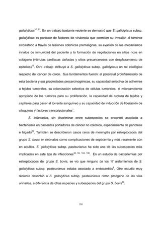 150
gallolyticus37, 57
. En un trabajo bastante reciente se demostró que S. gallolyticus subsp.
gallolyticus es portador de factores de virulencia que permiten su invasión al torrente
circulatorio a través de lesiones colónicas premalignas, su evación de los mecanismos
innatos de inmunidad del paciente y la formación de vegetaciones en sitios ricos en
colágeno (válvulas cardíacas dañadas y sitios precancerosos con desplazamiento de
epitelios)11
. Otro trabajo atribuyó a S. gallolyticus subsp. gallolyticus un rol etiológico
respecto del cáncer de colon. Sus fundamentos fueron: el potencial proinflamatorio de
esta bacteria y sus propiedades procarcinogénicas, su capacidad selectiva de adherirse
a tejidos tumorales, su colonización selectiva de células tumorales, el microambiente
apropiado de los tumores para su proliferación, la capacidad de ruptura de tejidos y
capilares para pasar al torrente sanguíneo y su capacidad de inducción de liberación de
citoquinas y factores transcripcionales1
.
S. infantarius, sin discriminar entre subespecies se encontró asociado a
bacteriemia en pacientes portadores de cáncer no colónico, especialmente de páncreas
e hígado22
. También se describieron casos raros de meningitis por estreptococos del
grupo S. bovis en neonatos como complicaciones de septicemia y más raramente aún
en adultos. S. gallolyticus subsp. pasteurianus ha sido una de las subespecies más
implicadas en este tipo de infecciones32, 55, 104, 108
. En un estudio de bacteriemias por
estreptococos del grupo S. bovis, se vio que ninguno de los 17 aislamientos de S.
gallolyticus subsp. pasteurianus estaba asociado a endocarditis8
. Otro estudio muy
reciente describió a S. gallolyticus subsp. pasteurianus como patógeno de las vías
urinarias, a diferencia de otras especies y subespecies del grupo S. bovis69
.
 