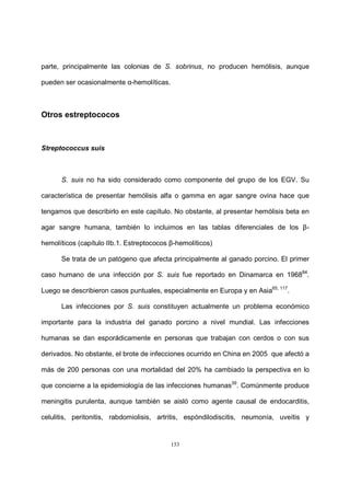 153
parte, principalmente las colonias de S. sobrinus, no producen hemólisis, aunque
pueden ser ocasionalmente α-hemolíticas.
Otros estreptococos
Streptococcus suis
S. suis no ha sido considerado como componente del grupo de los EGV. Su
característica de presentar hemólisis alfa o gamma en agar sangre ovina hace que
tengamos que describirlo en este capítulo. No obstante, al presentar hemólisis beta en
agar sangre humana, también lo incluimos en las tablas diferenciales de los β-
hemolíticos (capítulo IIb.1. Estreptococos β-hemolíticos)
Se trata de un patógeno que afecta principalmente al ganado porcino. El primer
caso humano de una infección por S. suis fue reportado en Dinamarca en 196884
.
Luego se describieron casos puntuales, especialmente en Europa y en Asia65, 117
.
Las infecciones por S. suis constituyen actualmente un problema económico
importante para la industria del ganado porcino a nivel mundial. Las infecciones
humanas se dan esporádicamente en personas que trabajan con cerdos o con sus
derivados. No obstante, el brote de infecciones ocurrido en China en 2005 que afectó a
más de 200 personas con una mortalidad del 20% ha cambiado la perspectiva en lo
que concierne a la epidemiología de las infecciones humanas39
. Comúnmente produce
meningitis purulenta, aunque también se aisló como agente causal de endocarditis,
celulitis, peritonitis, rabdomiolisis, artritis, espóndilodiscitis, neumonía, uveítis y
 