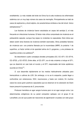 154
endoftalmitis. Lo más notable del brote de China fue la alta incidencia de enfermedad
sistémica con un muy bajo número de casos de meningitis. Principalmente se trató de
casos de septicemia y shock séptico, de características similares a las del shock tóxico
estreptocócico117
.
Los factores de virulencia fueron estudiados en cepas del serotipo 2, el más
frecuente en infecciones humanas. El factor más crítico comprobado de virulencia es el
polisacárido capsular, aunque hay cepas no virulentas no capsuladas. Esto indica que
deben existir otros factores de virulencia también esenciales. Otros probables factores
de virulencia son: una proteína liberada por la muramidasa (MRP), la proteína 1 de
superficie, un factor similar al de opacidad sérica de S. pyogenes, y una proteasa de
superficie similar a la subtilisina39
.
Se describieron cuatro complejos clonales principales (CC; CC–ST1, CC–ST16,
CC–ST25, y CC–ST27). Entre ellos, el CC–ST1, es el más virulento e incluye el ST1,
que se diseminó en casi todo el mundo y el ST7, responsable del brote epidémico
ocurrido en China121
.
S. suis desarrolla rápidamente en los medios habitualmente utilizados para
hemocultivos o cultivos de LCR. Sin embargo, si no se lo sospecha, puede llegar a
confundirse con enterococos, EGV, neumococos y hasta con Listeria. En muchos
casos los cocos gram positivos capsulados que se observan en la coloración de Gram
hacen presumir la presencia de S. pneumoniae.
Producen hemólisis en agar sangre humana pero no en agar sangre ovina. Los
determinantes antigénicos de su pared comparten epitopes con el grupo D de
Lancefield y es así que puede dar reacciones de aglutinación cruzadas con este grupo
 