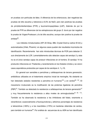 155
en pruebas con partículas de látex. A diferencia de los enterococos, dan negativas las
pruebas de bilis esculina y tolerancia a 6,5% de NaCl, pero dan positivas las pruebas
de pirrolidonilarilamidasa (PYR) y leucinaminopeptidasa (LAP). Además de por la
prueba de PYR se diferencian de los estreptococos del grupo S. bovis por dar negativa
la prueba de Voges-Proskauer y la de bilis esculina, aunque dan positiva la prueba de
amilasa64
.
Los métodos miniaturizados (API 20 Strep, BBL Crystal Gram-p ositive ID kit) y
automatizados (Vitek, Phoenix) en algunos casos pueden dar resultados incorrectos de
identificación. Recientemente han sido introducidas técnicas de PCR para detectar S.
suis directamente de LCR. Lamentablemente sólo detectan cepas del serotipo 2 y éste
no es el único serotipo capaz de producir infecciones en el hombre. El serotipo 14 ha
producido infecciones en Thailandia y recientemente en los Estados Unidos y se vieron
casos esporádicos producidos por cepas de los serotipos 4, 1 y 16.
En general son sensibles a penicilinas y cefalosporinas de tercera generación,
antibióticos utilizados en el tratamiento empírico inicial de meningitis. No obstante se
han detectado aislados resistentes a penicilina en humanos100
y en cerdos68, 122
. El
mecanismo involucrado es la modificación de las proteínas ligadoras de penicilina
(PBP)15
. También se detectado la resistencia a cefalosporinas de tercera generación47
y muy frecuentemente la resistencia a altos niveles de aminoglucósidos44, 68, 116
.
También se ha observado la resistencia a los inhibidores del folato, raramente a
cloranfenicol, ocasionalmente a fluoroquinolonas y altísimos porcentajes de resistencia
a tetraciclinas (>90%) y a los macrólidos (>70%) en bacterias obtenidas de cerdos,
pero también en humanos44
. Por análisis de secuencias de su ADN se han identificado
 