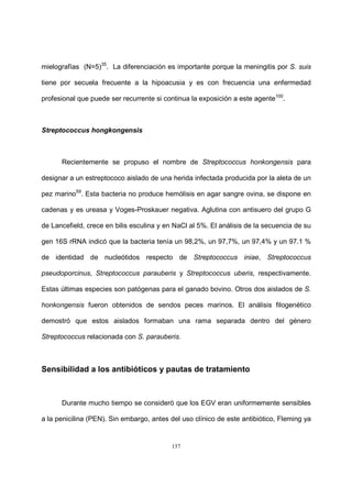 157
mielografías (N=5)35
. La diferenciación es importante porque la meningitis por S. suis
tiene por secuela frecuente a la hipoacusia y es con frecuencia una enfermedad
profesional que puede ser recurrente si continua la exposición a este agente100
.
Streptococcus hongkongensis
Recientemente se propuso el nombre de Streptococcus honkongensis para
designar a un estreptococo aislado de una herida infectada producida por la aleta de un
pez marino59
. Esta bacteria no produce hemólisis en agar sangre ovina, se dispone en
cadenas y es ureasa y Voges-Proskauer negativa. Aglutina con antisuero del grupo G
de Lancefield, crece en bilis esculina y en NaCl al 5%. El análisis de la secuencia de su
gen 16S rRNA indicó que la bacteria tenía un 98,2%, un 97,7%, un 97,4% y un 97.1 %
de identidad de nucleótidos respecto de Streptococcus iniae, Streptococcus
pseudoporcinus, Streptococcus parauberis y Streptococcus uberis, respectivamente.
Estas últimas especies son patógenas para el ganado bovino. Otros dos aislados de S.
honkongensis fueron obtenidos de sendos peces marinos. El análisis filogenético
demostró que estos aislados formaban una rama separada dentro del género
Streptococcus relacionada con S. parauberis.
Sensibilidad a los antibióticos y pautas de tratamiento
Durante mucho tiempo se consideró que los EGV eran uniformemente sensibles
a la penicilina (PEN). Sin embargo, antes del uso clínico de este antibiótico, Fleming ya
 