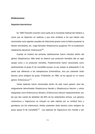 176
Enterococos
Aspectos taxonómicos
En 1899 Thiercelin encontró como parte de la microbiota habitual del intestino a
cocos que se disponían en cadenas y que eran similares a los que habían sido
reconocidos como agentes causales de infecciones graves como la fiebre puerperal, la
fascitis necrotizante, etc., luego llamados Streptococcus pyogenes. Por su localización
intestinal los denominó “enterococos”90
.
Cuando se hicieron las primeras clasificaciones fueron incluidos dentro del
género Streptococcus. Más tarde se observó que producían hemólisis alfa en agar
sangre ovina o no producían hemólisis. Posteriormente fueron reconocidos como
pertenecientes al grupo D de Lancefield aunque no por poseer el polisacárido C de
pared que diferencia a los estreptococos β-hemolíticos, sino por presentar ácido
teicoico como antígeno de grupo. Finalmente, en 1984, se los agrupó en un nuevo
género: Enterococcus113
.
Varias especies fueron reconocidas dentro de este nuevo género, pero las
antiguamente denominadas Streptococcus faecalis y Streptococcus faecium, y ahora
designadas como Enterococcus faecalis y Enterococcus faecium respectivamente, son
las que dan cuenta de alrededor del 90% de los aislamientos clínicos. Los géneros
Lactococcus y Vagococcus se incluyen en este capítulo por su similitud feno y
genotípica con los enterococos. Ambos presentan ácido teicoico como antígeno de
grupo (grupo N de Lancefield)114
. Las especies de Vagococcus son móviles y son
 