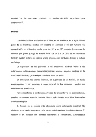 177
capaces de dar reacciones positivas con sondas de ADN específicas para
enterococos36
.
Hábitat
Los enterococos se encuentran en la tierra, en los alimentos, en el agua y como
parte de la microbiota habitual del intestino de animales y del ser humano. Su
concentración en el intestino oscila entre las 105
y las 107
unidades formadoras de
colonias por gramo (ufc/g) de materia fecal. En un 5 a un 35% de los individuos
también pueden aislarse de vagina, uretra anterior, piel, conductos biliares e incluso
orofaringe.
La exposición de los pacientes a los antibióticos inactivos frente a los
enterococos (cefalosporinas, isoxazolilpenicilinas) produce grandes cambios en la
microbiota intestinal y genera el predominio de estas bacterias.
En el hospital, las úlceras cutáneas, las superficies de las heridas, los tubos
endotraqueales y por supuesto la zona perianal de los pacientes pueden ser
reservorios de enterococos.
Por su resistencia a condiciones adversas del ambiente y a los desinfectantes,
pueden permanecer durante bastante tiempo colonizando superficies inanimadas
dentro del hospital.
E. faecalis es la especie más abundante como colonizante intestinal. No
obstante, en el medio hospitalario cada vez es más importante la colonización con E.
faecium y en especial con aislados resistentes a vancomicina. Enterococcus
 