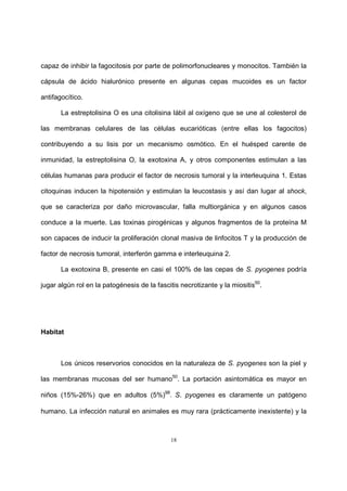 18
capaz de inhibir la fagocitosis por parte de polimorfonucleares y monocitos. También la
cápsula de ácido hialurónico presente en algunas cepas mucoides es un factor
antifagocítico.
La estreptolisina O es una citolisina lábil al oxígeno que se une al colesterol de
las membranas celulares de las células eucarióticas (entre ellas los fagocitos)
contribuyendo a su lisis por un mecanismo osmótico. En el huésped carente de
inmunidad, la estreptolisina O, la exotoxina A, y otros componentes estimulan a las
células humanas para producir el factor de necrosis tumoral y la interleuquina 1. Estas
citoquinas inducen la hipotensión y estimulan la leucostasis y así dan lugar al shock,
que se caracteriza por daño microvascular, falla multiorgánica y en algunos casos
conduce a la muerte. Las toxinas pirogénicas y algunos fragmentos de la proteína M
son capaces de inducir la proliferación clonal masiva de linfocitos T y la producción de
factor de necrosis tumoral, interferón gamma e interleuquina 2.
La exotoxina B, presente en casi el 100% de las cepas de S. pyogenes podría
jugar algún rol en la patogénesis de la fascitis necrotizante y la miositis50
.
Habitat
Los únicos reservorios conocidos en la naturaleza de S. pyogenes son la piel y
las membranas mucosas del ser humano50
. La portación asintomática es mayor en
niños (15%-26%) que en adultos (5%)98
. S. pyogenes es claramente un patógeno
humano. La infección natural en animales es muy rara (prácticamente inexistente) y la
 