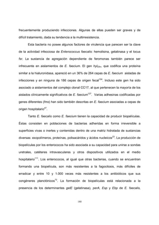 180
frecuentemente produciendo infecciones. Algunas de ellas pueden ser graves y de
difícil tratamiento, dada su tendencia a la multirresistencia.
Esta bacteria no posee algunos factores de virulencia que parecen ser la clave
de la actividad infecciosa de Enterococcus faecalis: hemolisina, gelatinasa y el locus
fsr. La sustancia de agregación dependiente de feromonas también parece ser
infrecuente en aislamientos de E. faecium. El gen hylEfm, que codifica una proteína
similar a la hialuronidasa, apareció en un 36% de 264 cepas de E. faecium aisladas de
infecciones y en ninguna de 186 cepas de origen fecal104
. Incluso este gen ha sido
asociado a aislamientos del complejo clonal CC17, al que pertenecen la mayoría de los
aislados clínicamente significativos de E. faecium127
. Varias adhesinas codificadas por
genes diferentes (fms) han sido también descritas en E. faecium asociadas a cepas de
origen hospitalario47
.
Tanto E. faecalis como E. faecium tienen la capacidad de producir biopelículas.
Éstas consisten en poblaciones de bacterias adheridas en forma irreversible a
superficies vivas o inertes y contenidas dentro de una matriz hidratada de sustancias
diversas: exopolímeros, proteínas, polisacáridos y ácidos nucleicos23
. La producción de
biopelículas por los enterococos ha sido asociada a su capacidad para unirse a sondas
uretrales, catéteres intravasculares y otros dispositivos utilizados en el medio
hospitalario111
. Los enterococos, al igual que otras bacterias, cuando se encuentran
formando una biopelícula, son más resistentes a la fagocitosis, más difíciles de
erradicar y entre 10 y 1.000 veces más resistentes a los antibióticos que sus
congéneres planctónicos72
. La formación de biopelículas está relacionada a la
presencia de los determinantes gelE (gelatinasa), perA, Esp y Ebp de E. faecalis,
 