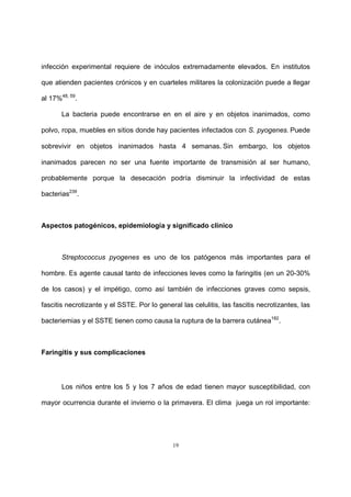 19
infección experimental requiere de inóculos extremadamente elevados. En institutos
que atienden pacientes crónicos y en cuarteles militares la colonización puede a llegar
al 17%48, 59
.
La bacteria puede encontrarse en en el aire y en objetos inanimados, como
polvo, ropa, muebles en sitios donde hay pacientes infectados con S. pyogenes. Puede
sobrevivir en objetos inanimados hasta 4 semanas. Sin embargo, los objetos
inanimados parecen no ser una fuente importante de transmisión al ser humano,
probablemente porque la desecación podría disminuir la infectividad de estas
bacterias239
.
Aspectos patogénicos, epidemiología y significado clínico
Streptococcus pyogenes es uno de los patógenos más importantes para el
hombre. Es agente causal tanto de infecciones leves como la faringitis (en un 20-30%
de los casos) y el impétigo, como así también de infecciones graves como sepsis,
fascitis necrotizante y el SSTE. Por lo general las celulitis, las fascitis necrotizantes, las
bacteriemias y el SSTE tienen como causa la ruptura de la barrera cutánea182
.
Faringitis y sus complicaciones
Los niños entre los 5 y los 7 años de edad tienen mayor susceptibilidad, con
mayor ocurrencia durante el invierno o la primavera. El clima juega un rol importante:
 