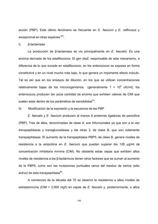 190
acción (PBP). Este último fenómeno es frecuente en E. faecium y E. raffinosus y
excepcional en otras especies103
.
I) β-lactamasa
La producción de β-lactamasa se vio principalmente en E. faecalis. Es una
enzima derivada de los estafilococos. El gen blaZ, responsable de este mecanismo, a
diferencia de lo que sucede en estafilococos, en los enterococos se expresa en forma
constitutiva y en un nivel mucho más bajo, lo que genera un importante efecto inóculo.
Tal es así que en los ensayos de dilución, en los que se utilizan concentraciones
relativamente bajas de los microorganismos (generalmente 1 × 105
ufc/ml), los
enterococos producen tan poca cantidad de enzima que exhiben valores de CIM que
suelen estar dentro de los parámetros de sensibilidad74
.
II) Modificación de la expresión y la secuencia de las PBP
E. faecalis y E. faecium producen al menos 6 proteínas ligadoras de penicilina
(PBP). Tres de ellas, denominadas de clase A, son bifuncionales ya que son a la vez
transpeptidasas y transglucosilasas y las otras 3, de clase B, que son solamente
transpeptidasas. El aumento de la transpeptidasa PBP5, de clase B, genera niveles de
resistencia a la ampicilina en E. faecium que pueden superar los 128 µg/ml de
concentración inhibitoria mínima (CIM). No obstante estas cepas que exhiben altos
niveles de resistencia a los β-lactámicos tienen otros factores que se suman al aumento
de la PBP5, como son las mutaciones puntuales cerca del residuo de serina (sitio
activo) de esta transpeptidasa84
.
A comienzos de la década del 70 se observó la resistencia a altos niveles de
estreptomicina (CIM > 2.000 mg/l) en cepas de E. faecalis y, posteriormente, a altos
 