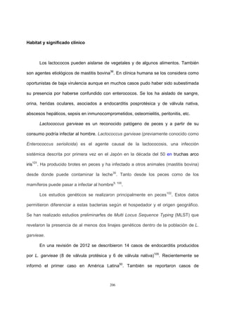 206
Habitat y significado clínico
Los lactococos pueden aislarse de vegetales y de algunos alimentos. También
son agentes etiológicos de mastitis bovina36
. En clínica humana se los considera como
oportunistas de baja virulencia aunque en muchos casos pudo haber sido subestimada
su presencia por haberse confundido con enterococos. Se los ha aislado de sangre,
orina, heridas oculares, asociados a endocarditis posprotésica y de válvula nativa,
abscesos hepáticos, sepsis en inmunocomprometidos, osteomielitis, peritonitis, etc.
Lactococcus garvieae es un reconocido patógeno de peces y a partir de su
consumo podría infectar al hombre. Lactococcus garvieae (previamente conocido como
Enterococcus seriolicida) es el agente causal de la lactococosis, una infección
sistémica descrita por primera vez en el Japón en la década del 50 en truchas arco
iris131
. Ha producido brotes en peces y ha infectado a otros animales (mastitis bovina)
desde donde puede contaminar la leche30
. Tanto desde los peces como de los
mamíferos puede pasar a infectar al hombre9, 105
.
Los estudios genéticos se realizaron principalmente en peces102
. Estos datos
permitieron diferenciar a estas bacterias según el hospedador y el origen geográfico.
Se han realizado estudios preliminarfes de Multi Locus Sequence Typing (MLST) que
revelaron la presencia de al menos dos linajes genéticos dentro de la población de L.
garvieae.
En una revisión de 2012 se describieron 14 casos de endocarditis producidos
por L. garvieae (8 de válvula protésica y 6 de válvula nativa)105
. Recientemente se
informó el primer caso en América Latina50
. También se reportaron casos de
 