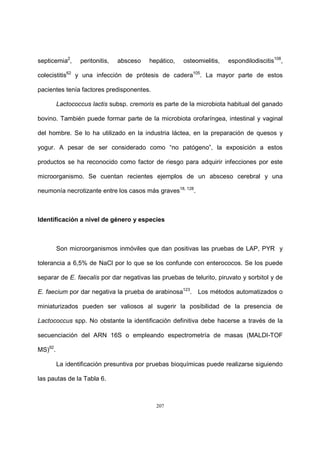 207
septicemia2
, peritonitis, absceso hepático, osteomielitis, espondilodiscitis108
,
colecistitis62
y una infección de prótesis de cadera105
. La mayor parte de estos
pacientes tenía factores predisponentes.
Lactococcus lactis subsp. cremoris es parte de la microbiota habitual del ganado
bovino. También puede formar parte de la microbiota orofaríngea, intestinal y vaginal
del hombre. Se lo ha utilizado en la industria láctea, en la preparación de quesos y
yogur. A pesar de ser considerado como “no patógeno”, la exposición a estos
productos se ha reconocido como factor de riesgo para adquirir infecciones por este
microorganismo. Se cuentan recientes ejemplos de un absceso cerebral y una
neumonía necrotizante entre los casos más graves18, 128
.
Identificación a nivel de género y especies
Son microorganismos inmóviles que dan positivas las pruebas de LAP, PYR y
tolerancia a 6,5% de NaCl por lo que se los confunde con enterococos. Se los puede
separar de E. faecalis por dar negativas las pruebas de telurito, piruvato y sorbitol y de
E. faecium por dar negativa la prueba de arabinosa123
. Los métodos automatizados o
miniaturizados pueden ser valiosos al sugerir la posibilidad de la presencia de
Lactococcus spp. No obstante la identificación definitiva debe hacerse a través de la
secuenciación del ARN 16S o empleando espectrometría de masas (MALDI-TOF
MS)92
.
La identificación presuntiva por pruebas bioquímicas puede realizarse siguiendo
las pautas de la Tabla 6.
 