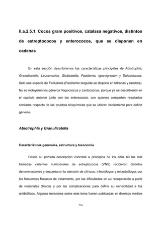224
II.a.2.5.1. Cocos gram positivos, catalasa negativos, distintos
de estreptococos y enterococos, que se disponen en
cadenas
En esta sección describiremos las características principales de Abiotrophia,
Granulicatella, Leuconostoc, Globicatella, Facklamia, Ignavigranum y Dolosicoccus.
Solo una especie de Facklamia (Facklamia languida se dispone en tétradas y racimos).
No se incluyeron los géneros Vagococcus y Lactococcus, porque ya se describieron en
el capítulo anterior junto con los enterococos, con quienes comparten resultados
similares respecto de las pruebas bioquímicas que se utilizan inicialmente para definir
géneros.
Abiotrophia y Granulicatella
Características generales, estructura y taxonomía
Desde su primera descripción concreta a principios de los años 60 las mal
llamadas variantes nutricionales de estreptococos (VNS) recibieron distintas
denominaciones y despertaron la atención de clínicos, infectólogos y microbiólogos por
los frecuentes fracasos de tratamiento, por las dificultades en su recuperación a partir
de materiales clínicos y por las complicaciones para definir su sensibilidad a los
antibióticos. Algunas revisiones sobre este tema fueron publicadas en diversos medios
 
