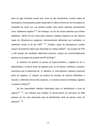 230
base de agar Columbia puesto que, como se dijo previamente, muchas cepas de
Abiotrophia y Granulicatella pueden desarrollar en ellos en forma de una fina pátina sin
necesidad de contar con una bacteria auxiliar. Esto podría valorarse erróneamente
como "satelitismo negativo"106
. Sin embargo, no son las únicas bacterias que exhiben
satelitismo. Dentro de los cocos gram positivos catalasa negativos se han descrito
cepas de Streptococcus pyogenes nutricionalmente deficientes que mostraban un
satelitismo similar al de las VNS85, 129
. También, cepas de Ignavigranum pueden
requerir de bacterias helper para desarrollar en medios sólidos42
. Las pruebas de PYR
y LAP pueden dar resultados débilmente positivos, aunque son inconfundiblemente
positivas en la batería de pruebas del API 20 Strep18
.
G. adiacens da positiva la prueba de β-glucuronidasa y negativa la de α-
galactosidasa y produce ácido de tagatosa pero no de lactosa, trehalosa y pululano,
reacciones que la diferencian de A. defectiva. G. para-adiacens, tampoco produciría
ácido de tagatosa. G. elegans da positiva las pruebas de arginina dihidrolasa e
hipurato, a diferencia de las otras especies, y no produce ácido de trehalosa, tagatosa
ni pululano (Tabla 2)28
.
Se han desarrollado métodos moleculares para su identificación a nivel de
especie122, 133
. Los métodos que emplean la secuenciación de porciones de ADN
parecen ser los más adecuados para la identificación tanto de género como de
especies77, 159
.
 