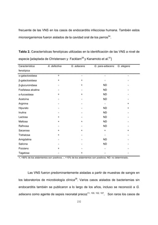 232
frecuente de las VNS en los casos de endocarditis infecciosa humana. También estos
microorganismos fueron aislados de la cavidad oral de los perros54
.
Tabla 2. Características fenotípicas utilizadas en la identificación de las VNS a nivel de
especie [adaptada de Christensen y Facklam28
y Kanamoto et al.81
]
Característica
fenotípica
A. defectiva G. adiacens G. para-adiacens G. elegans
α-galactosidasa + - - -
β-galactosidasa + + - -
β-glucuronidasa - + ND -
Fosfatasa alcalina - - ND -
α-fucosidasa + + ND -
Acetoína - - ND -
Arginina - - - +
Hipurato - - ND +
Inulina - - ND -
Lactosa + - ND -
Maltosa + + ND -
Rafinosa - - ND -
Sacarosa + + + +
Trehalosa + - - -
Amigdalina - - ND -
Salicina - - ND -
Pululano + - - -
Tagatosa - + - -
+, >90% de los aislamientos son positivos; -, <10% de los aislamientos son positivos; ND: no determinado.
Las VNS fueron predominantemente aisladas a partir de muestras de sangre en
los laboratorios de microbiología clínica28
. Varios casos aislados de bacteriemias sin
endocarditis también se publicaron a lo largo de los años, incluso se reconoció a G.
adiacens como agente de sepsis neonatal precoz11, 100, 102, 107
. Son raros los casos de
 