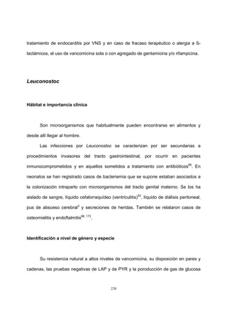 238
tratamiento de endocarditis por VNS y en caso de fracaso terapéutico o alergia a ß-
lactámicos, el uso de vancomicina sola o con agregado de gentamicina y/o rifampicina.
Leuconostoc
Hábitat e importancia clínica
Son microorganismos que habitualmente pueden encontrarse en alimentos y
desde allí llegar al hombre.
Las infecciones por Leuconostoc se caracterizan por ser secundarias a
procedimientos invasores del tracto gastrointestinal, por ocurrir en pacientes
inmunocomprometidos y en aquellos sometidos a tratamiento con antibióticos68
. En
neonatos se han registrado casos de bacteriemia que se supone estaban asociados a
la colonización intraparto con microorganismos del tracto genital materno. Se los ha
aislado de sangre, líquido cefalorraquídeo (ventriculitis)52
, líquido de diálisis peritoneal,
pus de absceso cerebral3
y secreciones de heridas. También se relataron casos de
osteomielitis y endoftalmitis88, 173
.
Identificación a nivel de género y especie
Su resistencia natural a altos niveles de vancomicina, su disposición en pares y
cadenas, las pruebas negativas de LAP y de PYR y la poroducción de gas de glucosa
 
